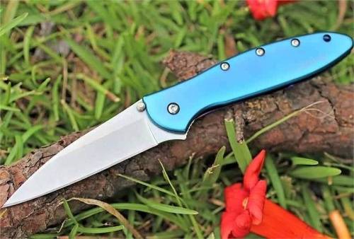 5891 Kershaw Leek - 1660TEAL фото 24