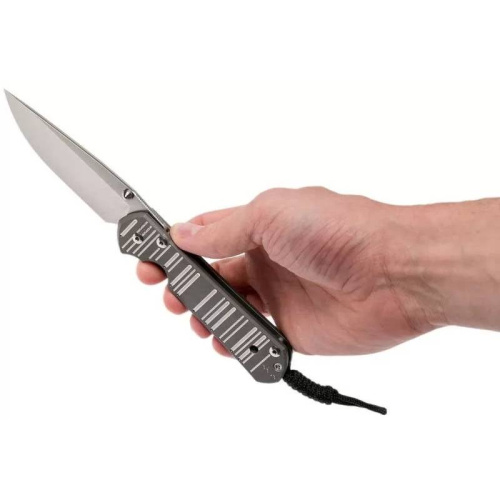 Складной нож Chris Reeve Large Sebenza 21 Think Twice фото 3